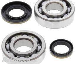 ALL BALLS RACING Kit roulements de vilebrequin ALL BALLS Suzuki RM250