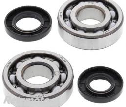 ALL BALLS RACING Kit roulements de vilebrequin ALL BALLS Kawasaki KX250