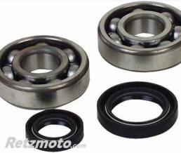Kit roulements de vilebrequin ALL BALLS Yamaha YFZ350 Banshee