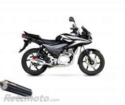 Ligne Scorpion Factory carbone Honda CBF125