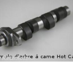 Arbre � cames stage 1 Hot cams Yamaha GRIZZLY 700