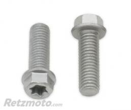Vis t�te hexagonale/Torx BOLT M8x1,25x25mm