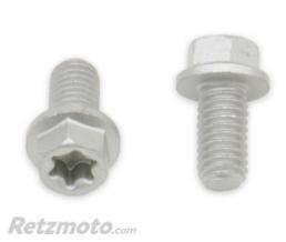 Vis t�te hexagonale/Torx BOLT M6x1,00x12mm