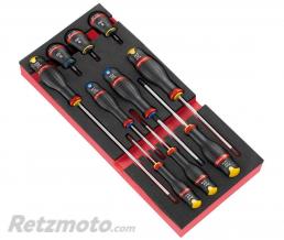 Module FACOM 10 tournevis Protwist dont 3 boules
