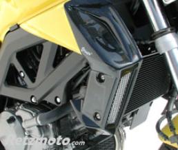 ERMAX ECOPES SV 650 N 2007 BORDEAUX METAL LC ARGENT 