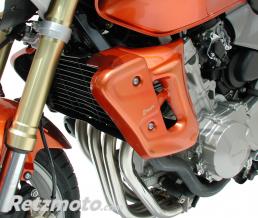 ERMAX ECOPES ERMAX POUR CB 600 HORNET N 98/2002 BLEU METAL