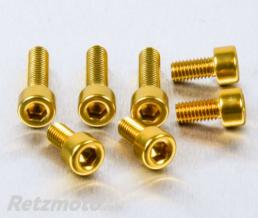 Kit vis de trappe r�servoir Pro-Bolt alu or par 7 Yamaha
