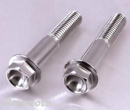Kit vis de bas de fourche Pro-Bolt inox par 2 Honda CB1000R - Suzuki GSF 1200