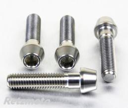 Kit vis de bas de fourche Pro-Bolt inox par 4 BMW S1000RR - Ducati 999