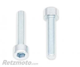 Vis BTR BOLT M6 x 1 x 55mm