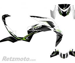 KIT D�CO MOTO AIRLINE KAWASAKI Z 750 BLANC VERT