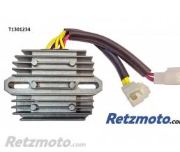 RTZ Regulateur de tension Triumph Street Triple 675 R(oem T1301234)
