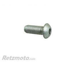 MOTO GUZZI Vis Disque Frein M8x30mm-GU98230820