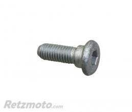 MOTO GUZZI Vis Disque Frein M8x25mm-GU30611460