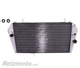 JMP- Radiateur refroidissement Aprilia 750/900 Shiver/Dorsoduro(oem 897162)