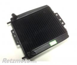 TECNIUM Radiateur Piaggio MP3 125 - 500
