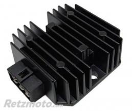 TECNIUM R�gulateur de Tension TECNIUM by DZE - Voge 300 DS