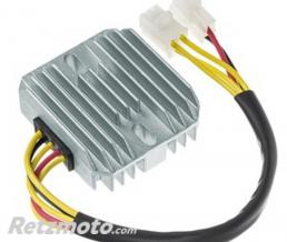TECNIUM R�gulateur DZE