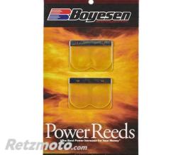 BOYESEN Clapets BOYESEN Power Reeds - 618