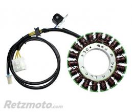 ELECTROSPORT Stator adaptable origine SUZUKI ELECTROSPORT