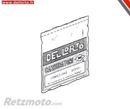 DELLORTO Bo�tier de commande DELLORTO ECU ECS Original 45km/h
