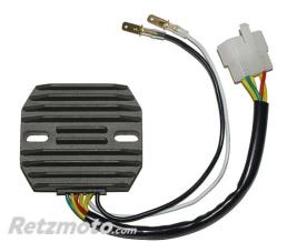 ELECTROSPORT R�gulateur de tension ELECTROSPORT