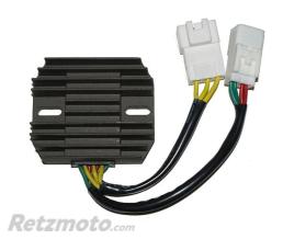 ELECTROSPORT R�gulateur de tension ELECTROSPORT