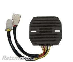 ELECTROSPORT R�gulateur de tension ELECTROSPORT