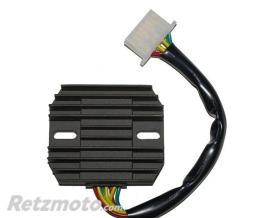 ELECTROSPORT R�gulateur de tension ELECTROSPORT
