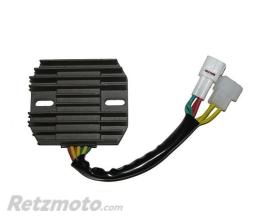ELECTROSPORT R�gulateur de tension ELECTROSPORT