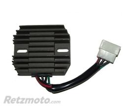 ELECTROSPORT R�gulateur de tension ELECTROSPORT