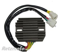 ELECTROSPORT R�gulateur de tension ELECTROSPORT