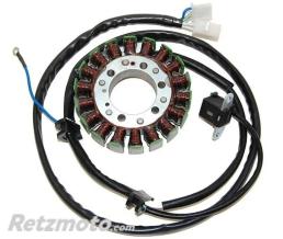 ELECTROSPORT Stator ELECTROSPORT