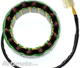 ELECTROSPORT Stator ELECTROSPORT DUCATI 600 SS SUPERSPORT