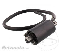 OEM Bobine allumage Bimota DB6(origine oem)