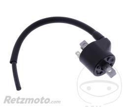 OEM Bobine allumage Beta RR 250 2T Enduro '13(Pi�ce origine OEM)