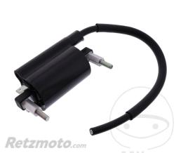 OEM Bobine allumage Suzuki GW 250 F Inazuma '15(Pi�ce Origine)