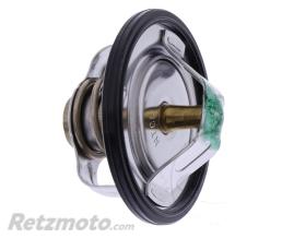 YAMAHA Thermostat OEM Yamaha FJR 1300 '01
