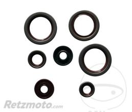 ATHENA Joint Spy bas moteur Athena - KTM Duke 690 '08