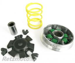 ATHENA Variateur Malaguti 100 2T