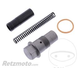 OEM Kit Tendeur de Cha�ne de Distribution (Pi�ce origine oem)