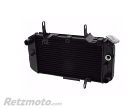 BRAZOLINE Radiateur refroidissement - SUZUKI DL650 V-STROM (2004-2011)