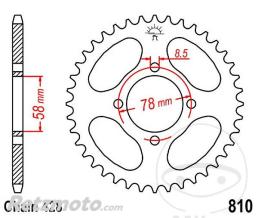JT SPROCKETS Couronne 43 Dents Pas 428