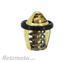 APRILIA 
					Calorstat/Thermostat Origine Piaggio Aprilia 125 Rs 2011>2016 -1A021035
				