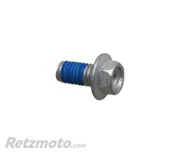 APRILIA 
					Vis De Rampe Lubrification Origine Piaggio Aprilia 1000 Rsv-4, Tuono V4 -1A003114
				