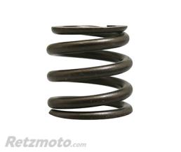 MOTO GUZZI 
					Contre Ressort De Fourche Origine Piaggio Moto-Guzzi 850-1200 Breva, 750 Nevada, 850-1200 Norge/Aprilia 650 Pegaso, 1000 Caponord, 500 Atlantic -Ap8163076
				