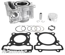 MAGNETI MARELLI 
					Cylindre Maxiscooter Yamaha 125 N-Max 2015>2020, Yzf-R125 2019> (Diam 52 Mm)
				