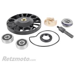 MAGNETI MARELLI 
					Kit Reparation Pompe A Eau Maxiscooter Piaggio 250 Mp3 2006>2009, 300 Mp3 2010>2018, 300 Vespa Gts 2008>2017 / Aprilia 300 Sr Max 2011>2014 / Gilera 300 Nexus 2008>
				