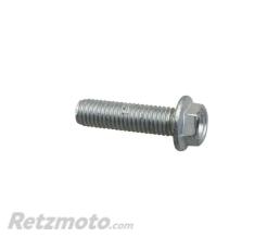 OEM Vis M8x30 Moto guzzi V7/V85TT/Aprilia Shiver-AP8152288