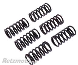 TRW Ressorts embrayage renforc�s TRW - Ducati Monster/SS